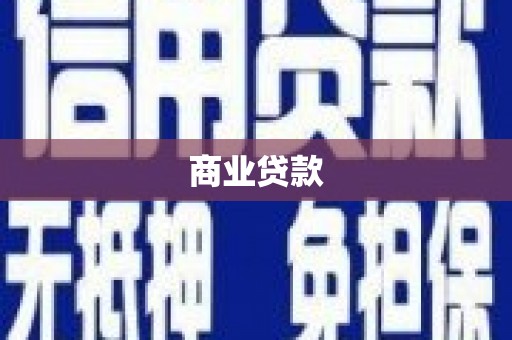 盐津商业贷款