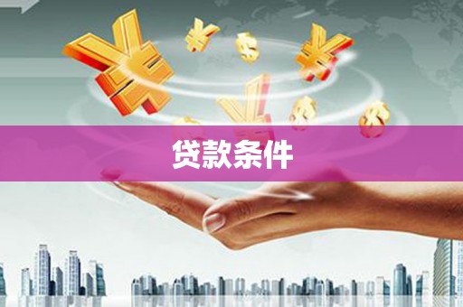 盐津贷款条件