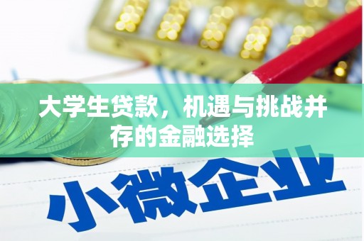 盐津大学生贷款，机遇与挑战并存的金融选择