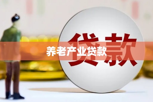 盐津养老产业贷款