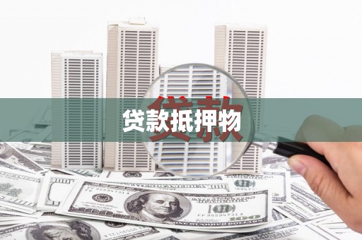 盐津贷款抵押物