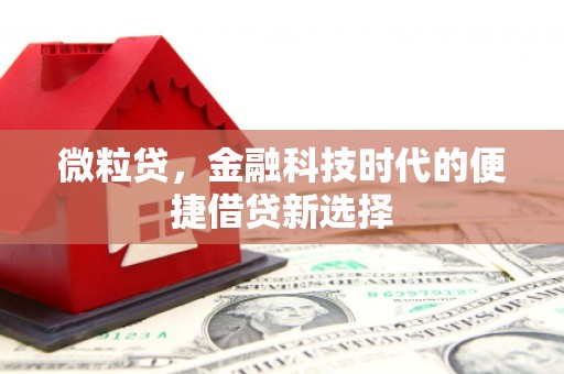 盐津微粒贷，金融科技时代的便捷借贷新选择