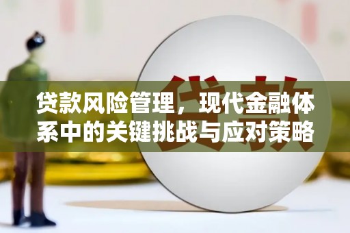 盐津贷款风险管理，现代金融体系中的关键挑战与应对策略