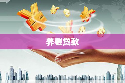 盐津养老贷款