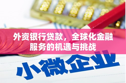 盐津外资银行贷款，全球化金融服务的机遇与挑战