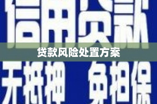 盐津贷款风险处置方案