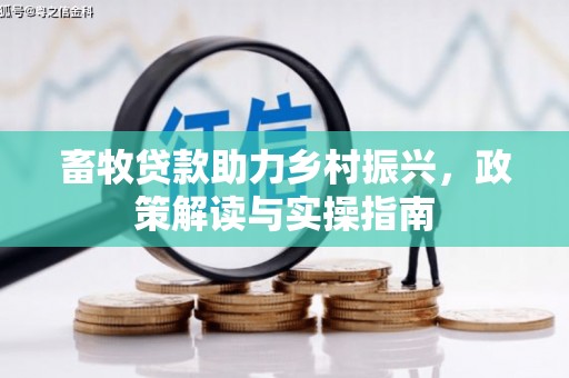 盐津畜牧贷款助力乡村振兴，政策解读与实操指南