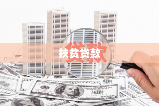盐津扶贫贷款