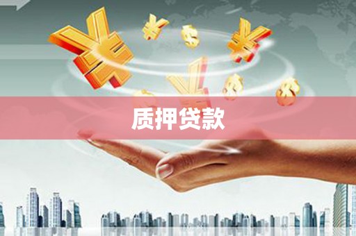 盐津质押贷款