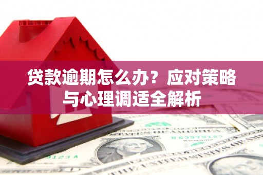 盐津贷款逾期怎么办？应对策略与心理调适全解析