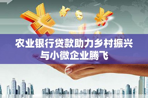 盐津农业银行贷款助力乡村振兴与小微企业腾飞
