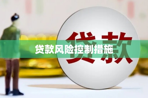 盐津贷款风险控制措施