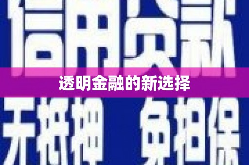 盐津透明金融的新选择