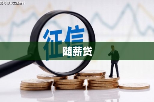 盐津随薪贷
