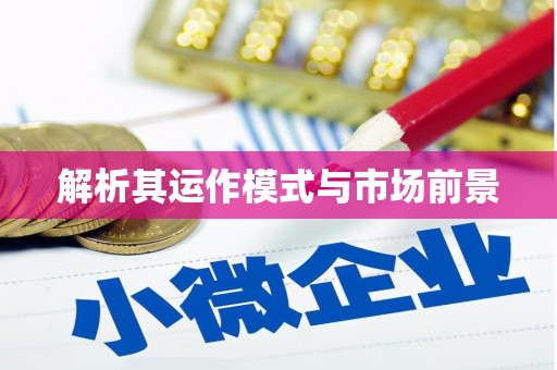 盐津解析其运作模式与市场前景
