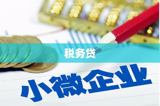 盐津税务贷