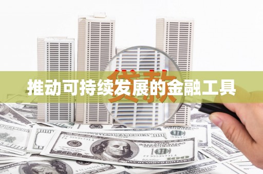 盐津推动可持续发展的金融工具