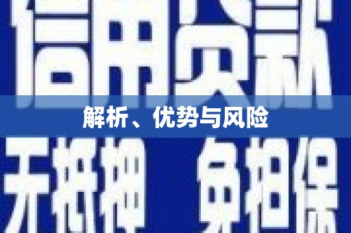 盐津解析、优势与风险