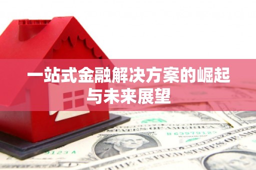盐津一站式金融解决方案的崛起与未来展望