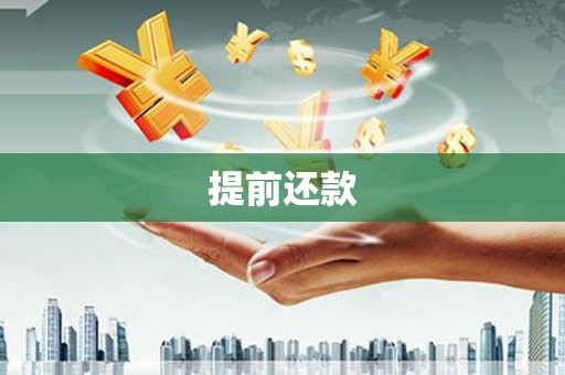 盐津提前还款