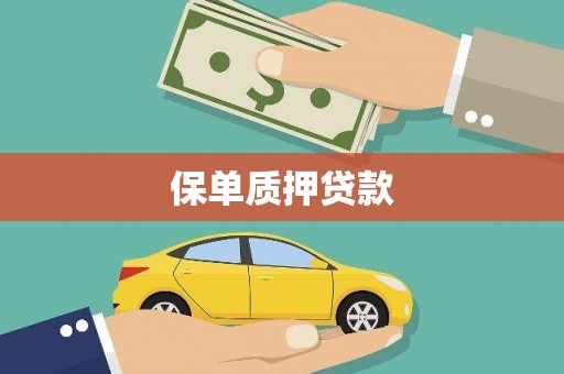 盐津保单质押贷款