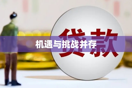 盐津机遇与挑战并存