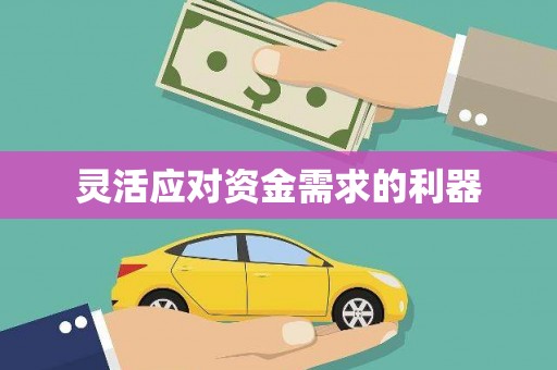 盐津灵活应对资金需求的利器