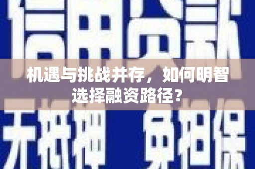 盐津机遇与挑战并存，如何明智选择融资路径？