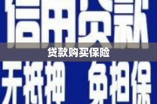盐津贷款购买保险