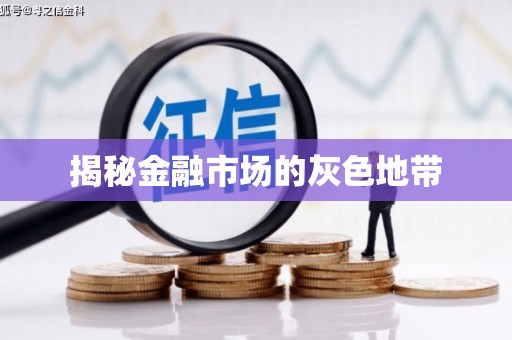 盐津揭秘金融市场的灰色地带