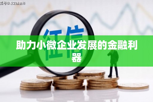 盐津助力小微企业发展的金融利器