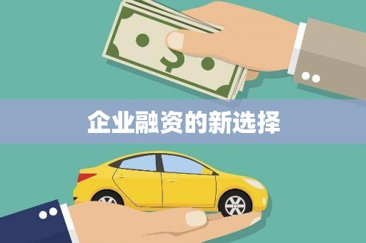 盐津企业融资的新选择