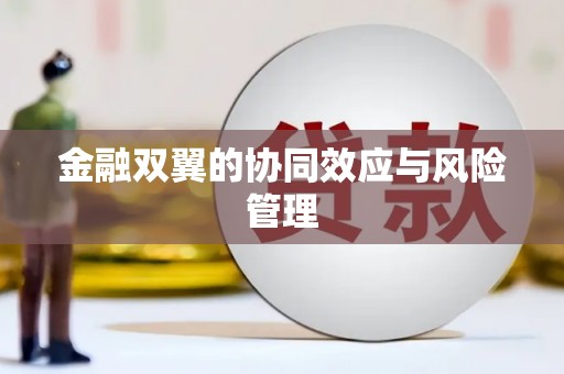 盐津金融双翼的协同效应与风险管理