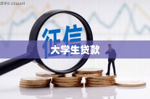 盐津大学生贷款