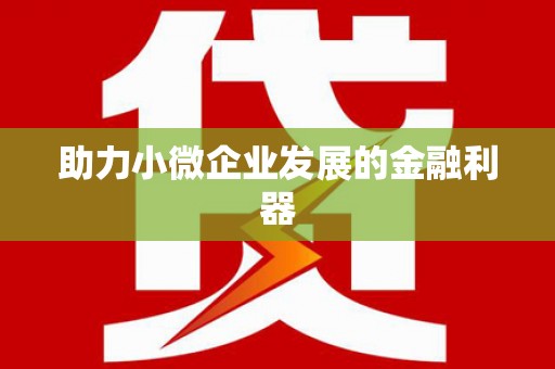 盐津助力小微企业发展的金融利器