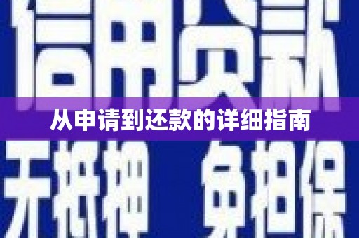 盐津从申请到还款的详细指南