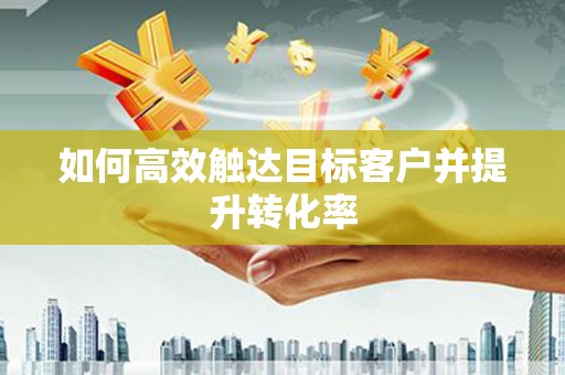 盐津如何高效触达目标客户并提升转化率