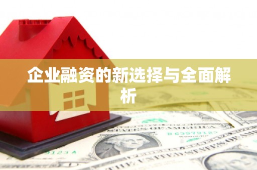 盐津企业融资的新选择与全面解析