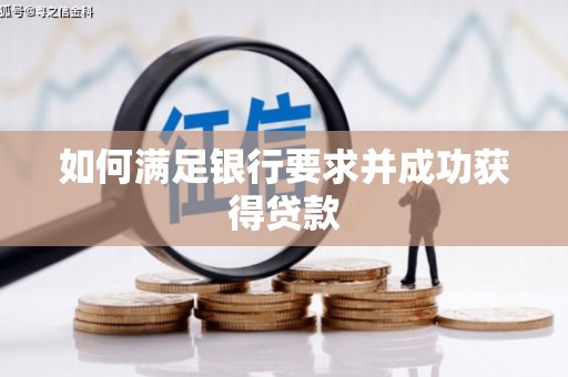 盐津如何满足银行要求并成功获得贷款