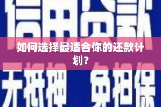 盐津如何选择最适合你的还款计划？