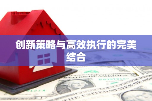 盐津创新策略与高效执行的完美结合