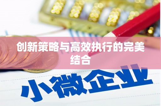 盐津创新策略与高效执行的完美结合