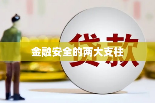 盐津金融安全的两大支柱
