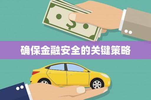 盐津确保金融安全的关键策略
