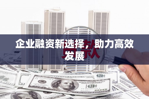 盐津企业融资新选择，助力高效发展