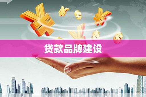 盐津贷款品牌建设