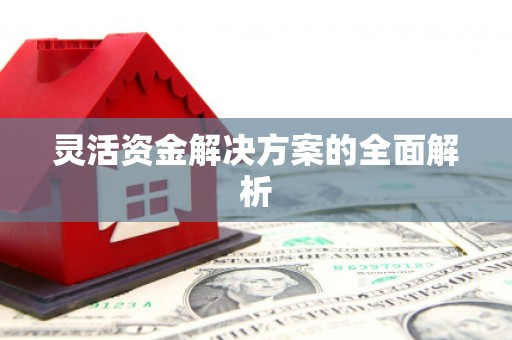 盐津灵活资金解决方案的全面解析