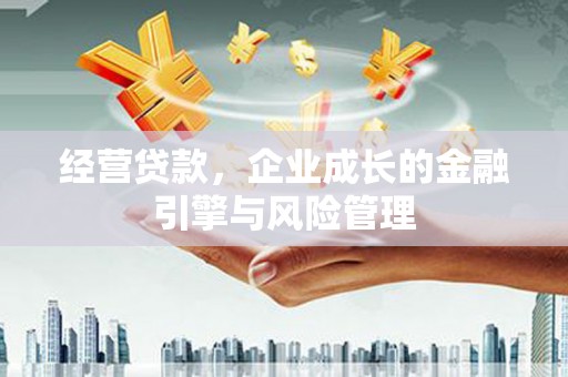 盐津经营贷款，企业成长的金融引擎与风险管理