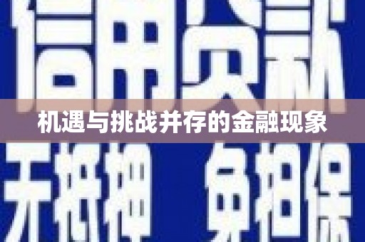 盐津机遇与挑战并存的金融现象