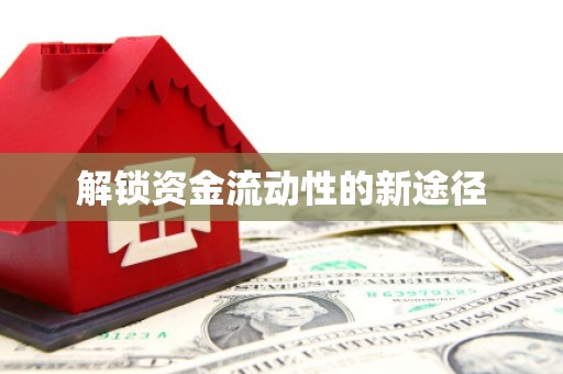 盐津解锁资金流动性的新途径